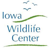 Iowa Wildlife Center Logo